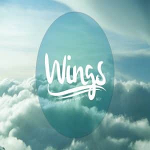 موزیک ویدیو Wings