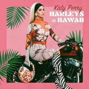 موزیک ویدیو Katy Perry - Harleys In Hawaii با زیرنویس فارسی