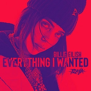 موزیک ویدیو Billie Eilish - everything i wanted با زیرنویس فارسی