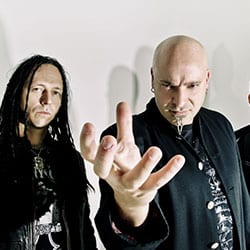 Disturbed