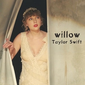 موزیک ویدیو تیلور سوئیفت Taylor Swift - willow با زیرنویس