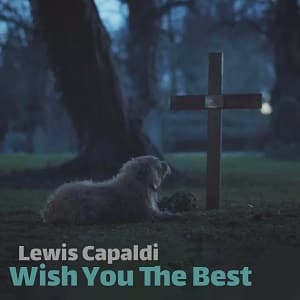 موزیک ویدیو Lewis Capaldi - Wish You The Best با زیرنویس